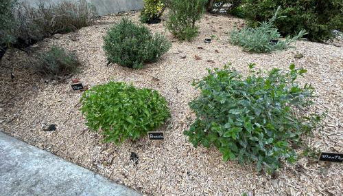 Gîte des Coteaux Sézannais - Foto 4