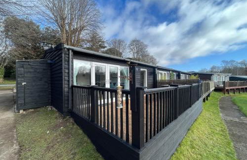 Snowdonia Holiday Lodge, North Wales - Foto 24