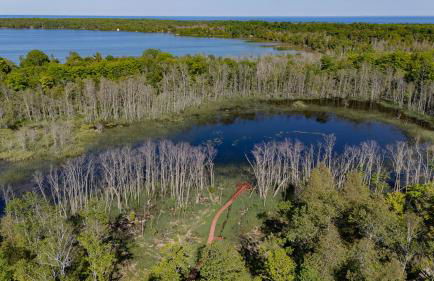 The Rushes - Foto 97