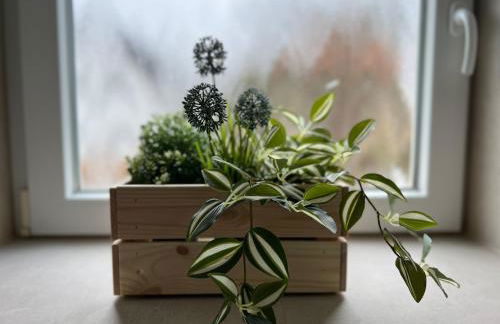 Port18 - Exklusives Zwei-Zimmer-Apartment am Park - Foto 2