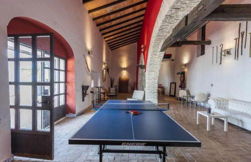 Cortijo Pavia - Photo 11