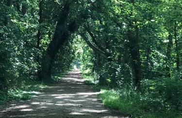 Lock Keepers Cottage on C&O Canal/Potomac River - Foto 48