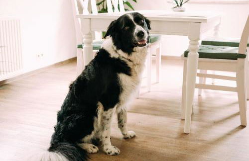 Ferienwohnung Worpsweder Schlösschen - Foto 9