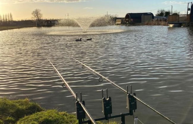 The Firs Country Park - Foto 19