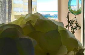 Puerto Paraiso Estepona port - Photo 39