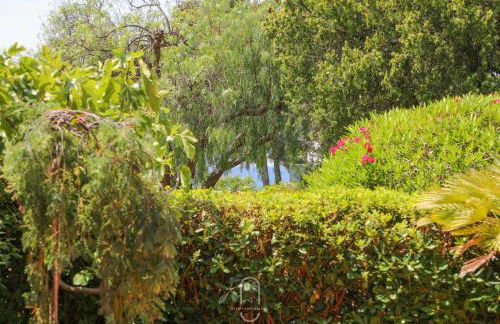 Charmant RDJ T3 en Bord de Mer terrasse Carqueiranne By HC - Foto 4