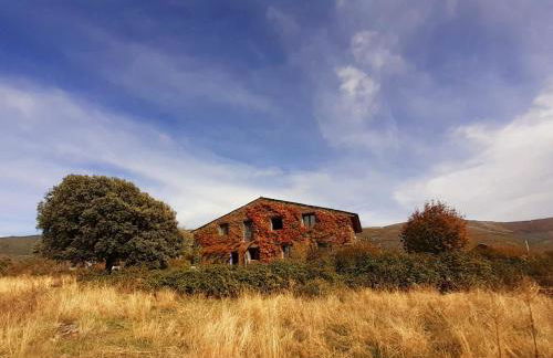 EL CUENTO DE LA ENCINA. Un espacio para sentir - Foto 1