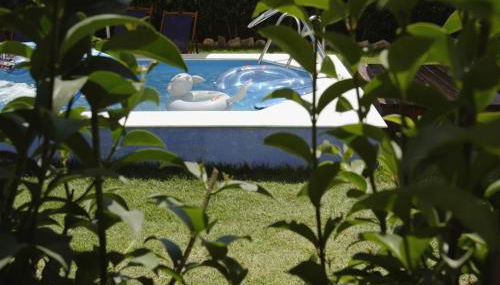 Kalypso Studios & Apartments - Foto 4