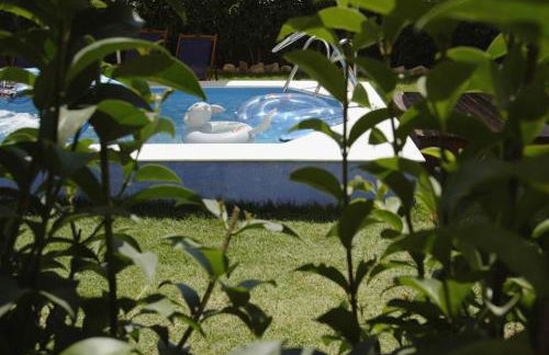 Kalypso Studios & Apartments - Foto 4