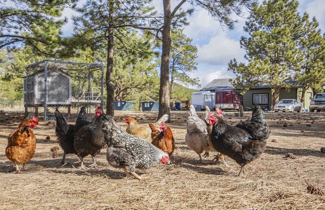 3BD Barndominium🐎 Ranch Experiencefoosball Snow Shoeswinter Trails - Foto 16