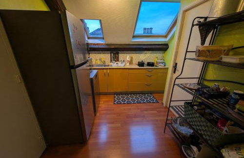 Grand Studio Climatisé en combles à 2 pas de la gare de NANCY - Foto 9