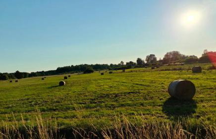 Apartament Turkusowe Łąki 4c-1 - Foto 68