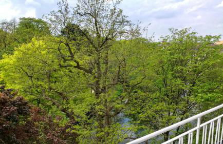 Ferienwohnung Parkblick - Foto 8