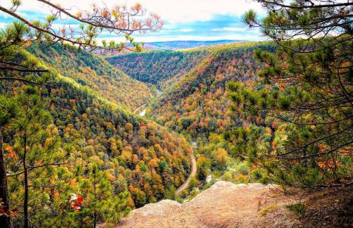 11-Acre Retreat I Firepit, Pickleball and Nature - Foto 64