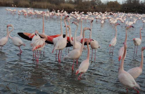 Les Hauts d'Eyragues gite Rêverie Meublé classé 4 étoiles - Foto 39