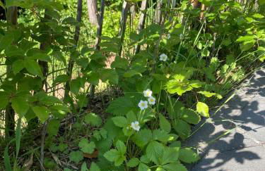 Blockhaus in herrlicher Umgebung - Foto 51