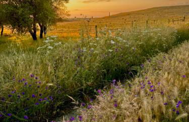 Casa no Montinho - Foto 63