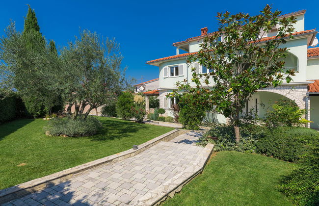 Salamander - Foto 10