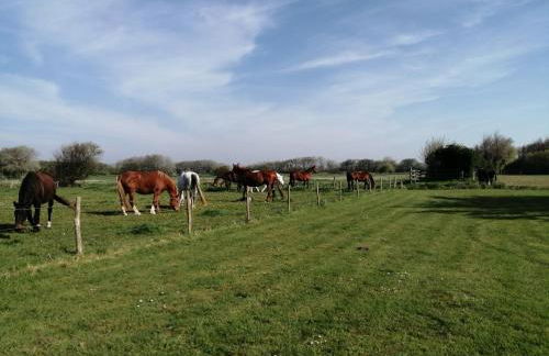 Ivy House Utah Beach - Foto 19