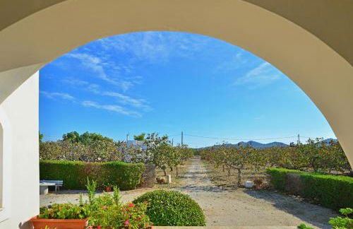 Tzitzi Pistachio Villa - Foto 32