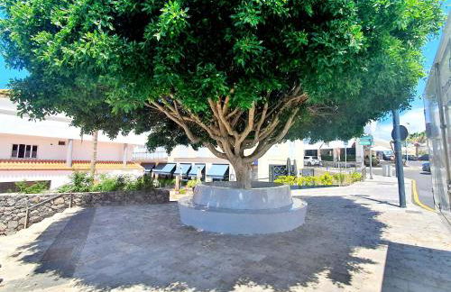 Casa Libra - Foto 56