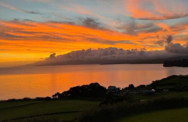 João de Oliveira - casas de campo - Photo 150