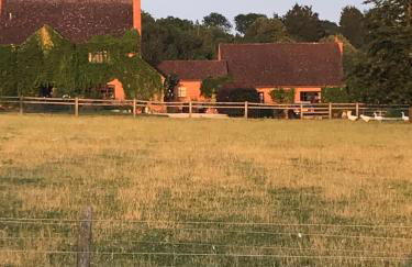 The Burrow - Foto 29