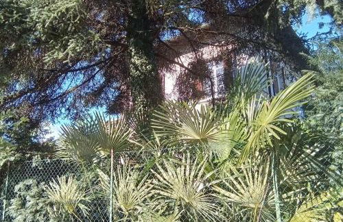 Villa Luigia - Photo 27