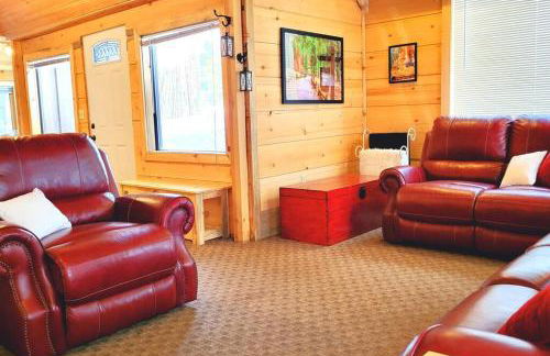 Sequoia Splendor, inside Kings Canyon NP by Visitors Center - Foto 10