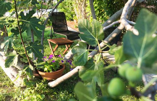 Studio Point of view - Foto 5