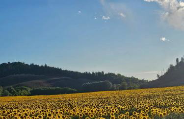 casa Sofì - Foto 26