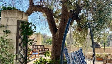 Trullo Alessandro e Villa Raffaela - Foto 4, Garden, Garden view