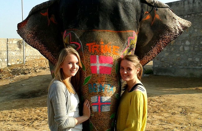 Day with the Elephants - Foto 4