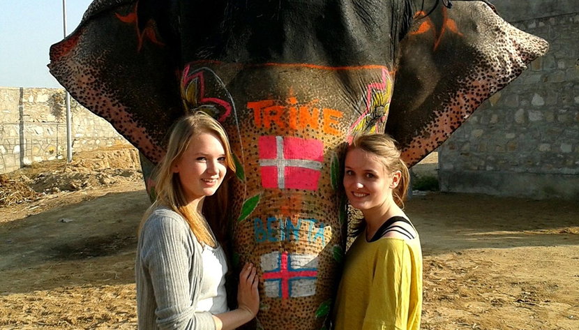 Day with the Elephants - Photo 3