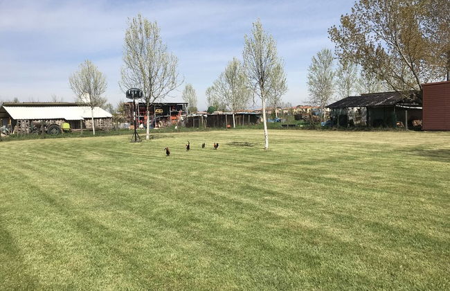 Agriturismo Nonna Rina - Foto 46