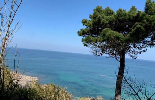 L'Annexe, F2 avec jardin, 800 m de la plage - Foto 22