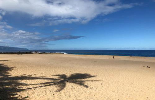 Beach Studio by Shark's Cove - Foto 18