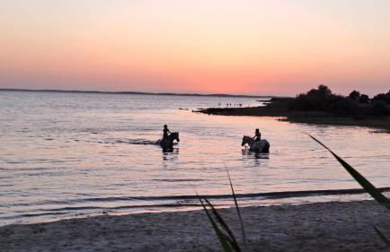 La Cabane 14 - Foto 30