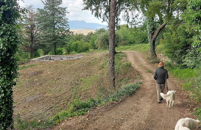 Chiosi Country Club - Foto 47