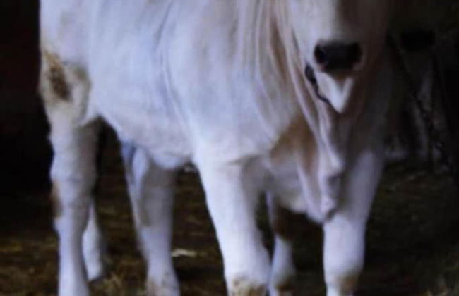 Agriturismo Monti Sibillini Camperato - Photo 45