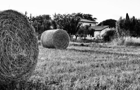 Orti di Capalbio - Foto 32