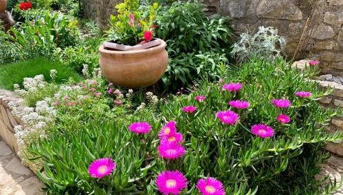 Apartment Pino - Foto 3