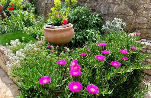 Apartment Pino - Foto 3