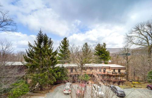 Beech Mtn Studio Less Than 1 Mi to Skiing Bring Your Pet! - Foto 20