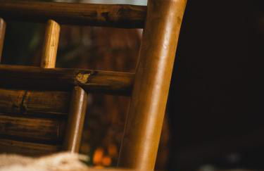 L'Insolite, expérience safari chic à Saumur - Foto 18