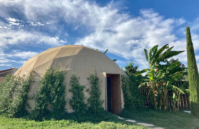 BIBO PARK - Ibiza Botánico Biotecnológico - Foto 5