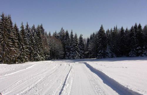 Ferienhaus Klingenbrunn - Foto 25