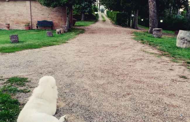 Agriturismo Campo al Sole - Foto 32