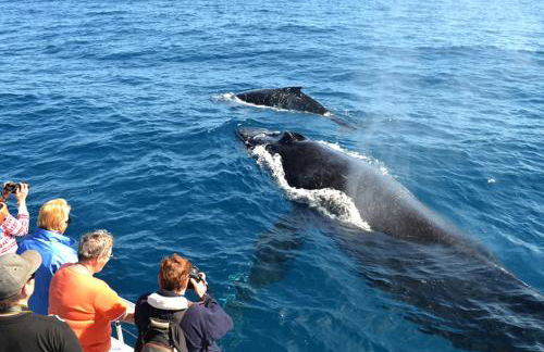 Beautiful Guesthouse, Sleeps 4 - Kitchen, Private Laundry, AC, Parking, 65' TV, Close to Stores, Restaurants & Beach - Foto 14