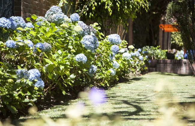 Cora 127 Plenitud - Photo 66